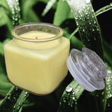 Citronella Lemongrass Essential Oil Soy Candles Handmade Recycled Upcycled Container Organic Hemp Wick