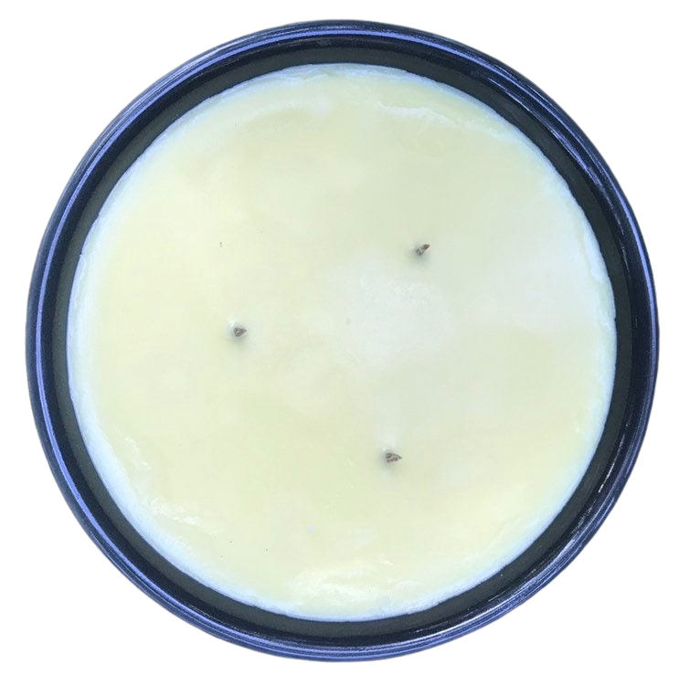 Citronella Lemongrass Soy Candles Handmade Upcycled Reusable Ceramic B –