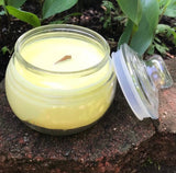 Citronella Lemongrass Essential Oil Soy Candles Handmade Upcycled  Decanter Crackling Cherry Wood Wick