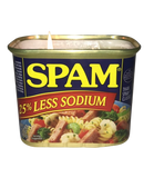 Bug Repellent Soy Candle Reporposed SPAM Can Hemp Wicks