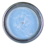 Peppermint Essential Oil Soy Candles Handmade Upcycled Reusable Glass Container Shell Design Organic Hemp Wick