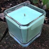 Eucalyptus Soy Candle Upcycled Glass Container Organic Hemp Wick