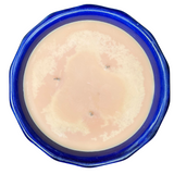 Pumpkin Spice Pastry Soy Candles Handmade Upcycled Ceramic Bowl Organic Hemp Wicks