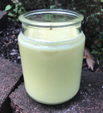 Citronella Lemongrass Essential Oil Soy Candles Handmade Upcycled Reusable Clear Glass Decanter Organic Hemp Wick