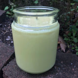 Citronella Lemongrass Essential Oil Soy Candles Handmade Upcycled Reusable Clear Glass Decanter Organic Hemp Wick