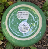 Mosquito Repellant Soy Candles Handmade Reusable Green Hemp Wicks