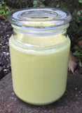 Citronella Lemongrass Essential Oil Soy Candles Handmade Upcycled Reusable Clear Glass Decanter Organic Hemp Wick