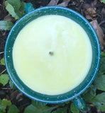 Citronella Lemongrass Essential Oil Soy Candles Handmade Upcycled Reusable Hunter Green Speckled Crock Mug Candle with Saucer Hemp Wick