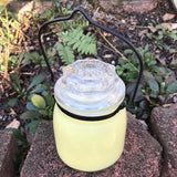 Citronella Lemongrass Essential Oil Soy Candles Handmade Upcycled Glass Decanter