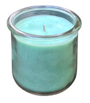 Eucalyptus Soy Candle Handmade Upcycled Container Eco Friendly Organic Hemp Wick