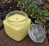 Citronella Lemongrass Essential Oil Soy Candles Handmade Recycled Upcycled Container Organic Hemp Wick