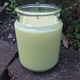 Citronella Lemongrass Essential Oil Soy Candles Handmade Upcycled Reusable Clear Glass Decanter Organic Hemp Wick