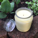 Citronella Lemongrass Essential Oil Soy Candles Handmade Organic Hemp Wick Upcycled Glass Decanter